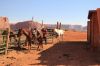 USA20120125.JPG