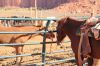 USA20120126.JPG
