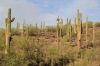 USA20120216.JPG